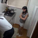 逢沢るる 不倫検証 自分の妻が浮気をしない人間なのか検証の依頼が届きました。【るる】 逢沢るる h_1787eiki00401